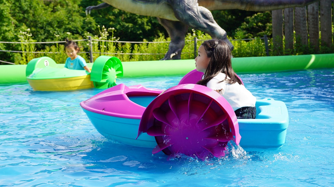 気持ちいいボートの写真(福井県勝山市)